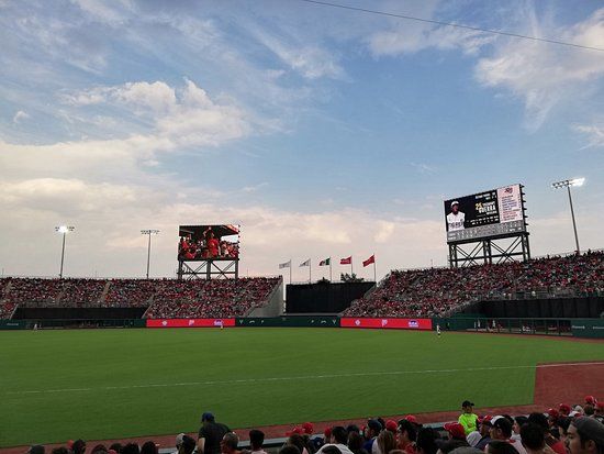 Estádio Alfredo Harp Helú